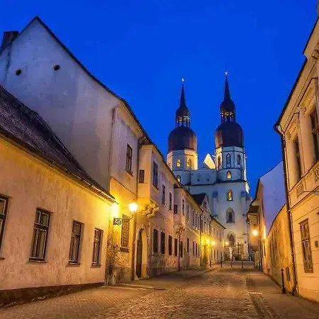 With Terrace In * Trnava